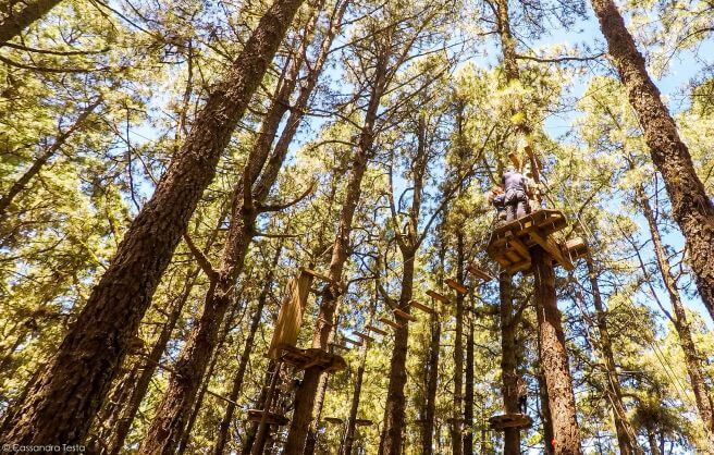Forestal Park